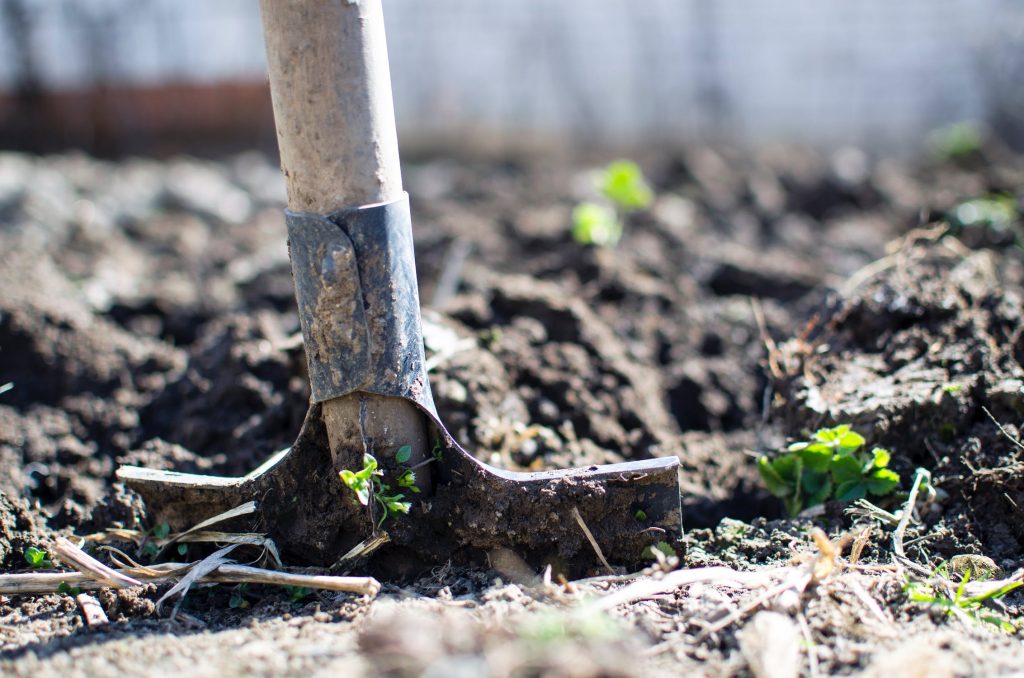 How to Build the Perfect Backyard